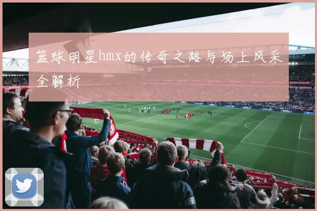 篮球明星hmx的传奇之路与场上风采全解析