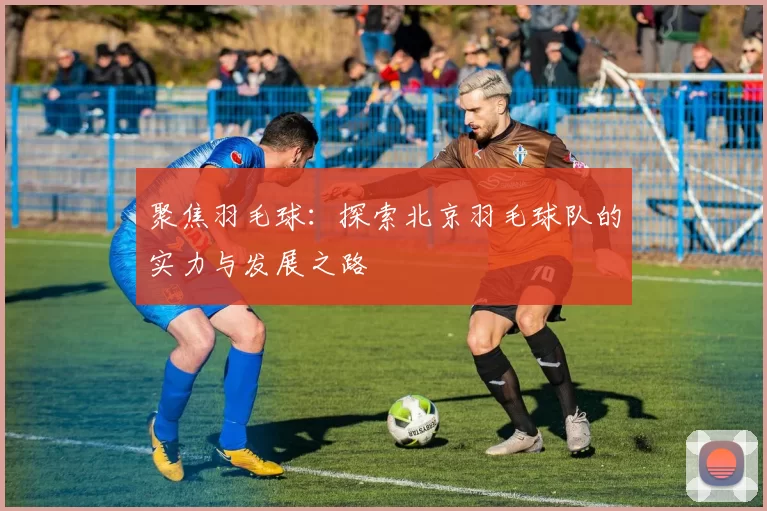 聚焦羽毛球：探索北京羽毛球队的实力与发展之路