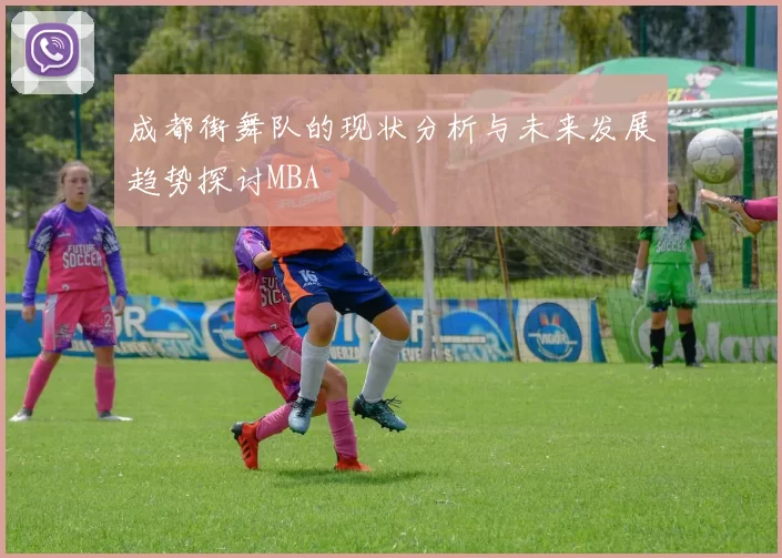 成都街舞队的现状分析与未来发展趋势探讨MBA