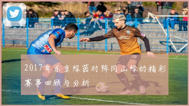2017年东京绿茵对阵冈山绿的精彩赛事回顾与分析