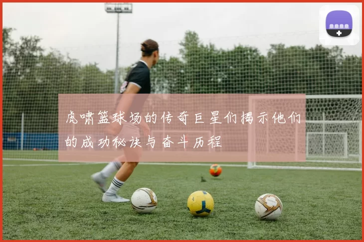 虎啸篮球场的传奇巨星们揭示他们的成功秘诀与奋斗历程