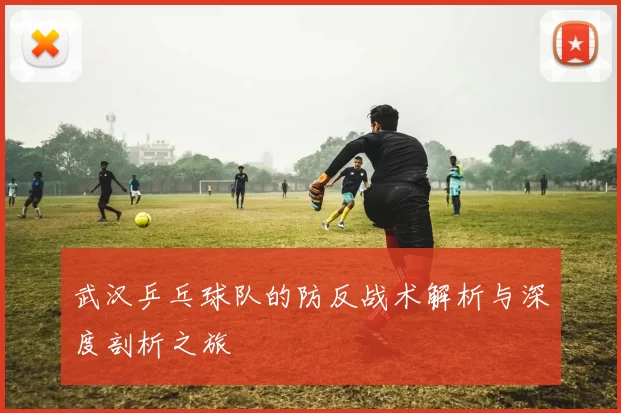 武汉乒乓球队的防反战术解析与深度剖析之旅