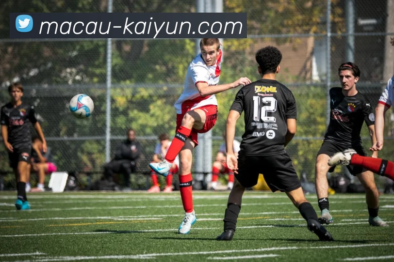 App Interface Preview